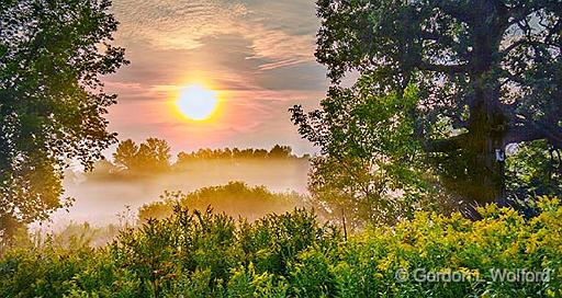 Misty Sunrise_45543-5.jpg - Photographed near Rosedale, Ontario, Canada.